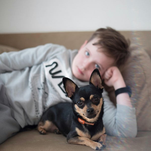 Introducing a Dog to the Family