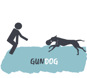 Gundog