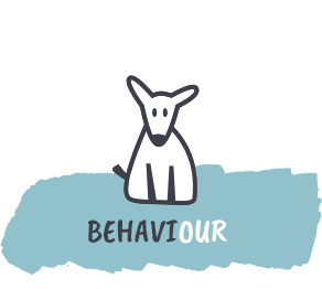 Behaviour